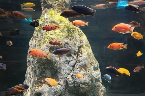 BeijingNatural History Museum Guided Tour & Entry Assistanc
