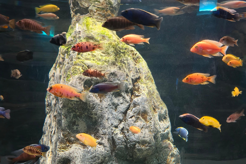 BeijingNatural History Museum Guided Tour & Entry Assistanc