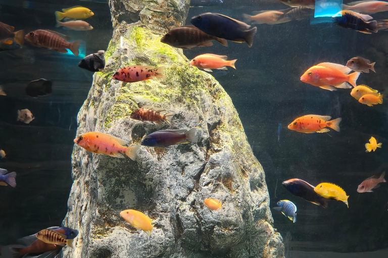 BeijingNatural History Museum Guided Tour & Entry Assistanc