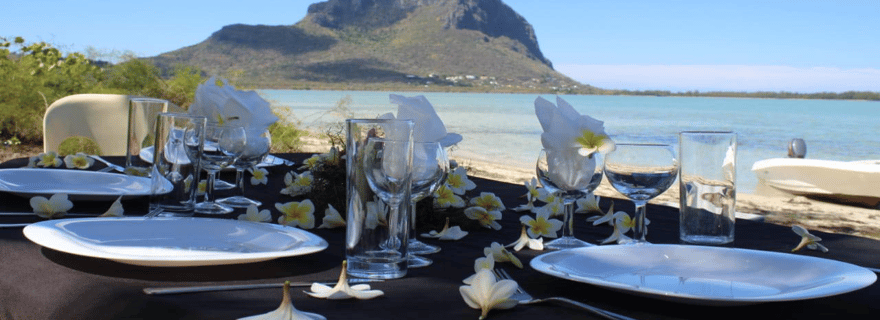 Bateau privé à l'Île aux Bénitiers : Plongée en apnée avec les dauphins et homard