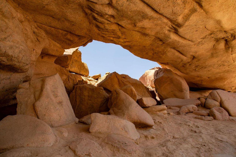 Walvis Bay: Cruiseliner Excursions