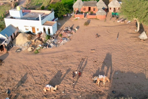 Jodhpur Woestijn Kamelen Safari Met Kookles Met Sumer