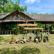 Koh Yao Yai: Community Tour or Ethical Elephant Experience Koh Yao Yai: Community Tour or Ethical Elephant Experience
