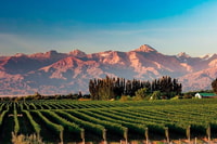 Daytour a las bodegas de Mendoza - Housity