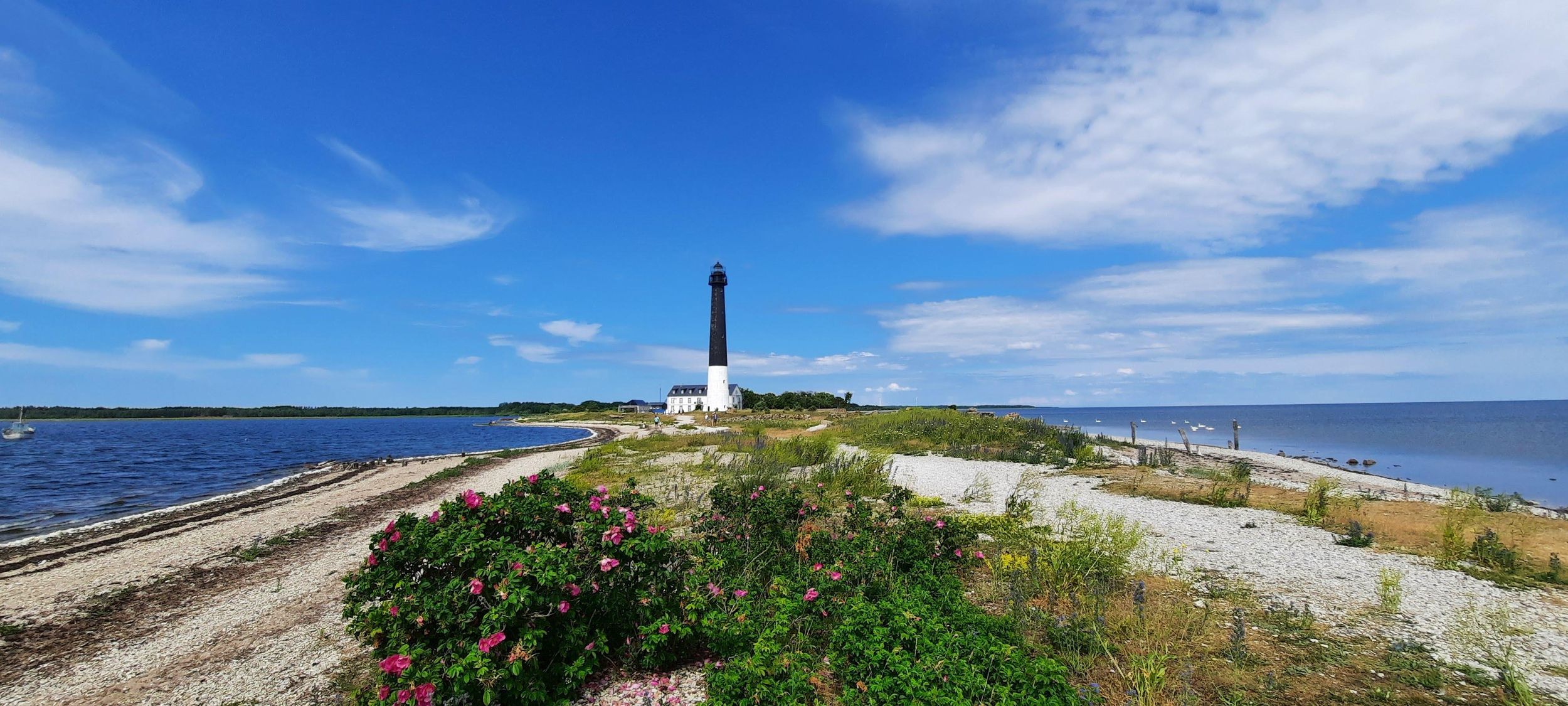 Saaremaa: Tour zur Halbinsel Sõrve mit Eintritt zum Leuchtturm