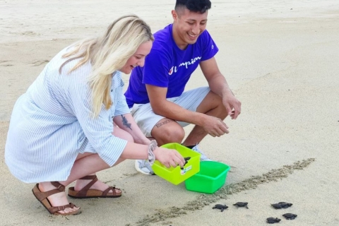 From Huatulco:Turtle Release and Bioluminescence Tour
