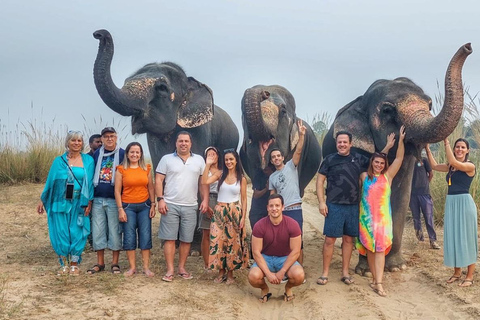 Adventures Wildlife Safari Tour with Golden Triangle 7Days Adventures Wildlife Safari Tour with Golden Triangle 7Days