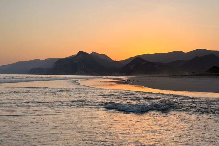 Salalah Local Life Tour: Camels, Coast & Natural Wonders