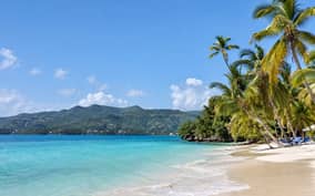  - Canarie.it