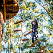 Western Sydney: Tree Ropes Courses