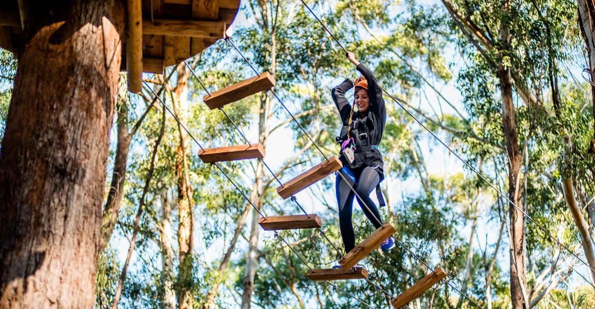 Tree Rope Course Plan Western Sydney: Tree Ropes Courses | GetYourGuide