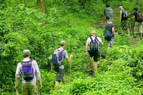 Najlepszy łatwy trekking po Parku Narodowym Cuc Phuong