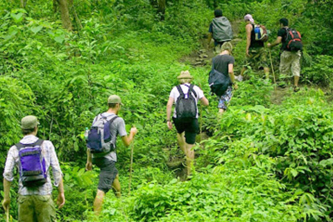 Najlepszy łatwy trekking po Parku Narodowym Cuc Phuong