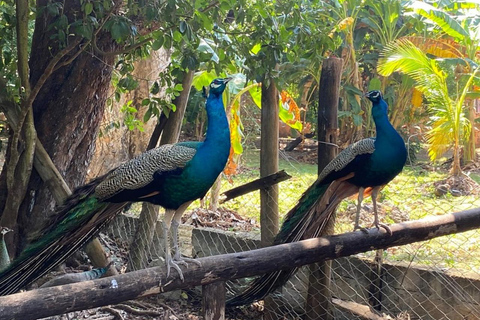Zanzibar: Isola Prigione, Nakupenda e tour delle piantagioni di spezieZanzibar: Isola-prigione, Nakupenda e tour delle piantagioni di spezie