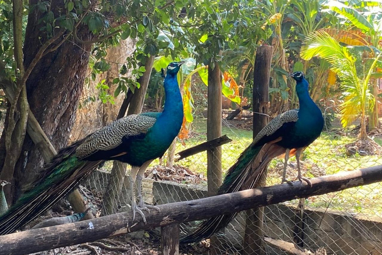 Zanzibar: Isola Prigione, Nakupenda e tour delle piantagioni di spezieZanzibar: Isola-prigione, Nakupenda e tour delle piantagioni di spezie
