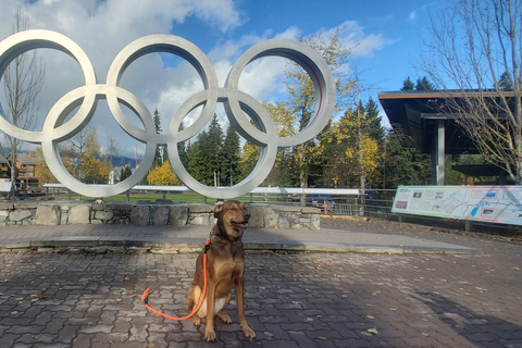 جولة ويسلر، جندول سي تو سكاي، شلال شانون وبحيرة جريناجعل جولتك خاصة