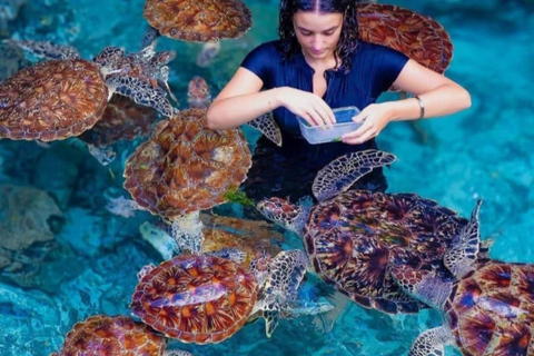 زنجبار: جولة في مزرعة التوابل وجولة في كهف السلامجولة خاصة مع النقل مشمول