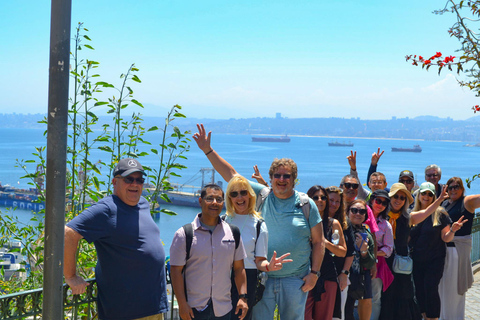 Santiago: Valparaíso Cruise Port Transfer & Vineyard Tour