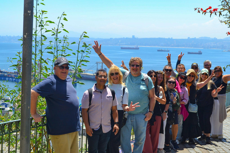Santiago: Valparaíso Cruise Port Transfer & Vineyard Tour
