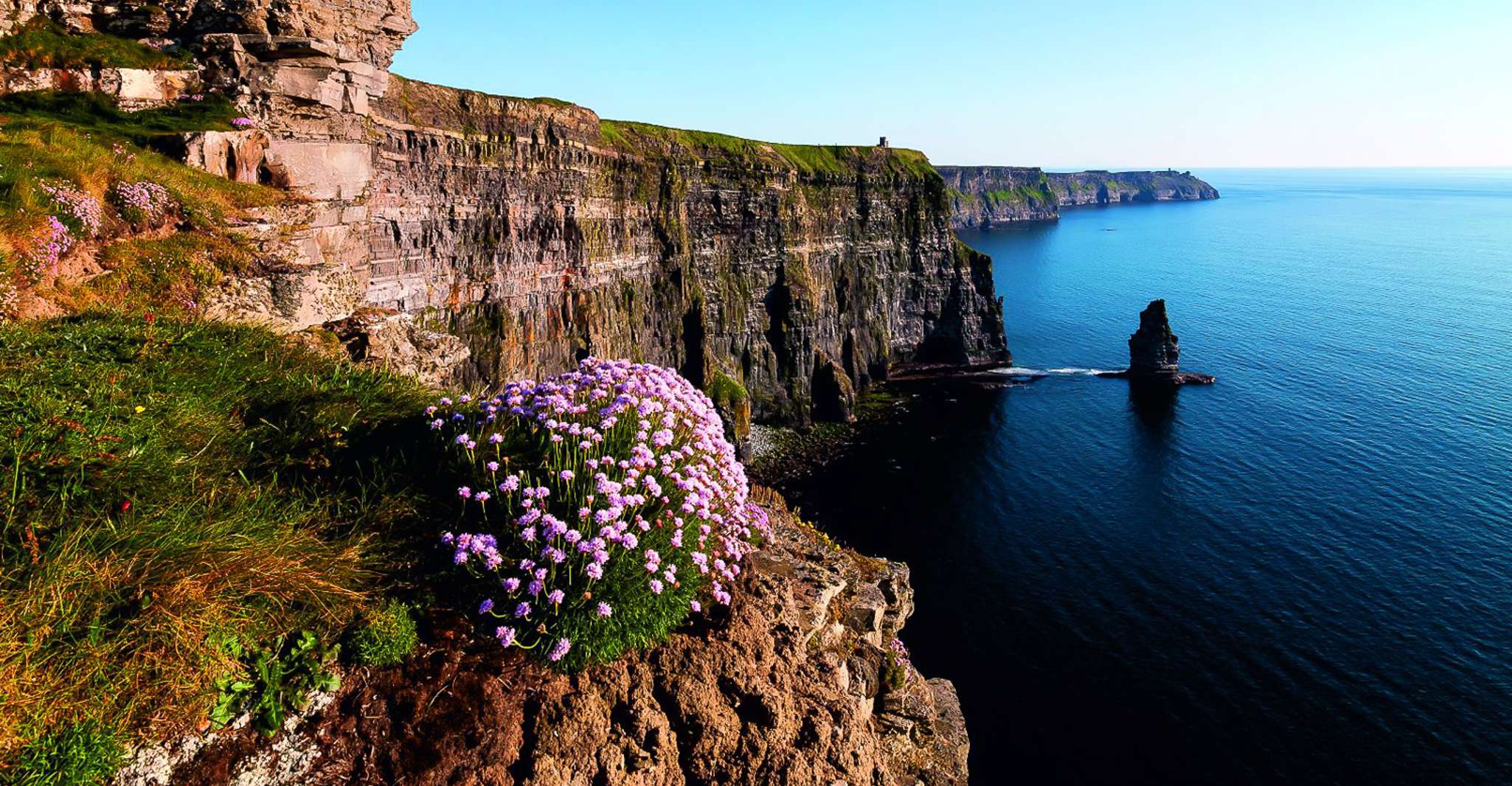 From Limerick, Full-Day Guided Tour of Cliffs of Moher - Housity