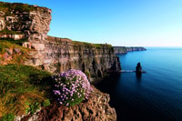 From Limerick, Full-Day Guided Tour of Cliffs of Moher - Housity