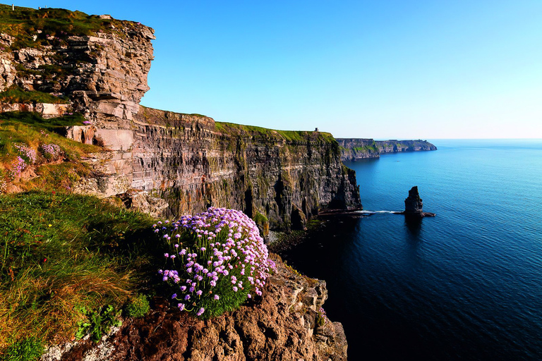 From Limerick: Full-Day Guided Tour of Cliffs of Moher