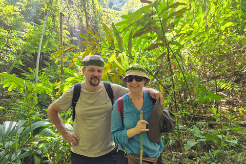 Chiang Rai: 2-Day Jungle Trek only walk with Waterfall