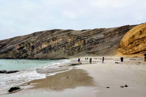 Paracas, Ballestas Islands, & Paracas National Reserve Tour from Ica