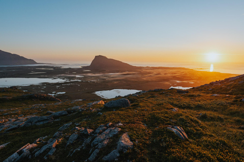 Visite touristique des Lofoten : visite d&#039;une demi-journée