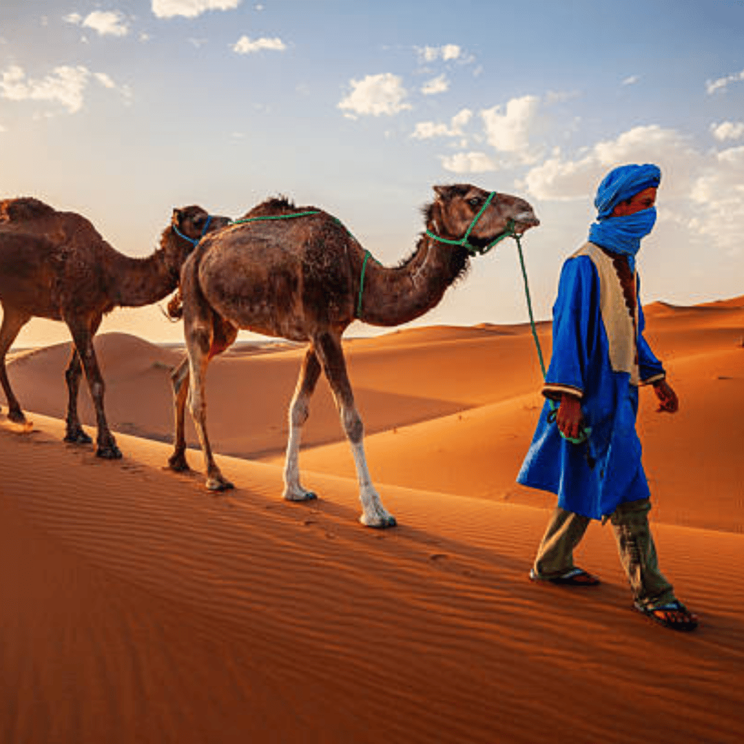Au départ de Fès : circuit de 2 jours avec retour via le désert de Merzouga et randonnée à dos de chameau - dromadaire
