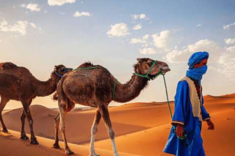 من فاس: رحلة ذهاب وعودة لمدة يومين عبر صحراء مرزوقة وركوب الجمالخيار الجولة المشتركة