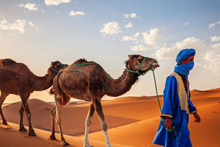 من فاس: رحلة ذهاب وعودة لمدة يومين عبر صحراء مرزوقة وركوب الجمالخيار الجولة المشتركة