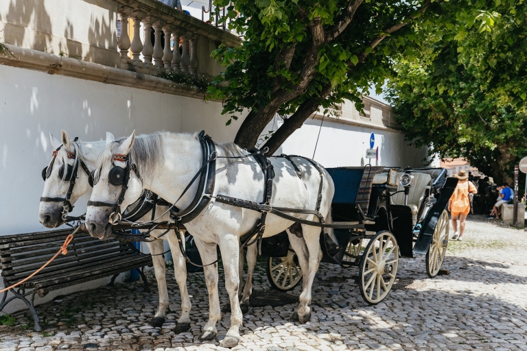 Ab Lissabon: Kleingruppen-Tagestour nach Sintra und CascaisTour mit Abholung am Museu do Fado