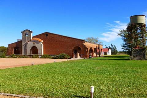 Besuch einer Weinkellerei &amp; Verkostung mit Mittagessen in Montevideo