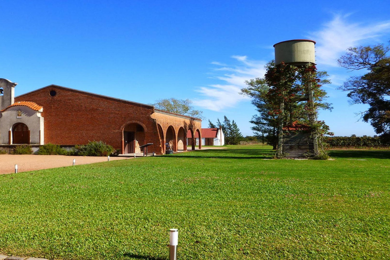 Besuch einer Weinkellerei &amp; Verkostung mit Mittagessen in Montevideo