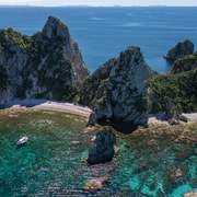 Coromandel: Aldermen Islands Marine Reserve Wildlife Cruise