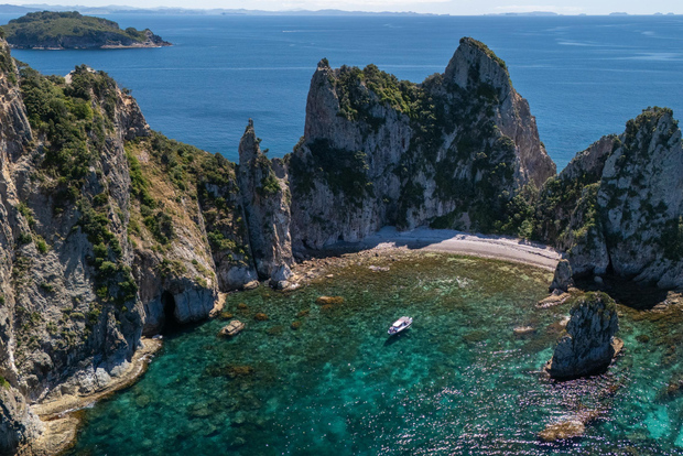 Coromandel: crociera naturalistica nella riserva marina delle isole Aldermen