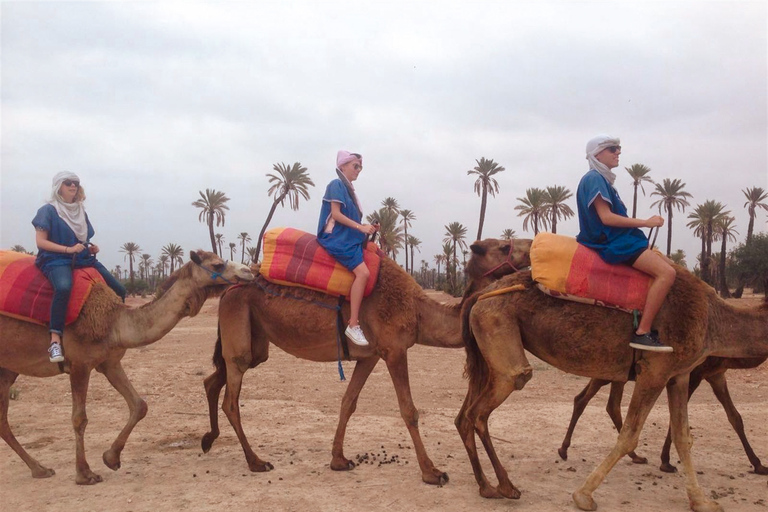 Från Marrakech: Kamelritt, fyrhjuling och spa - heldagsutflyktHel dags utflykt med kamelridning, fyrhjuling och spa