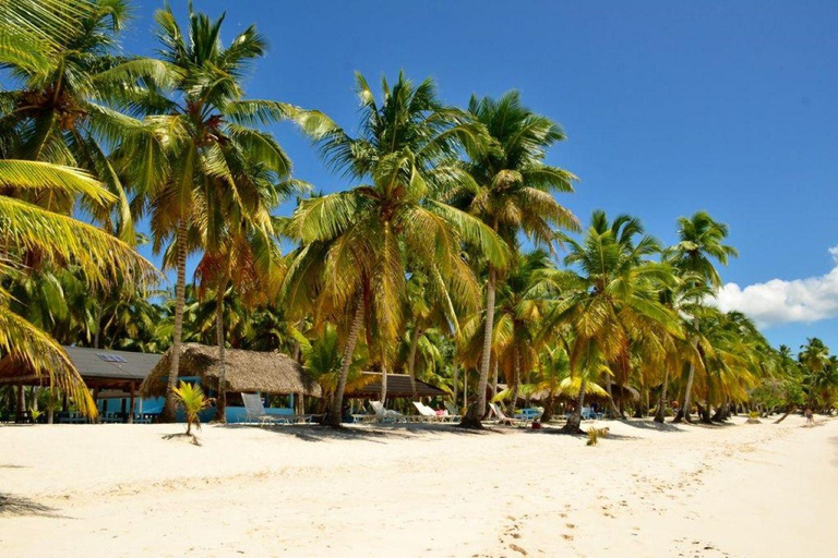 Saona Island from Punta CanaSaona Island