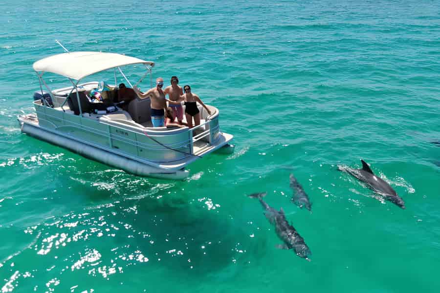 Cocoa Beach: Öko-Bootstour mit Delfinen & Seekühen in kleiner Gruppe. Foto: GetYourGuide