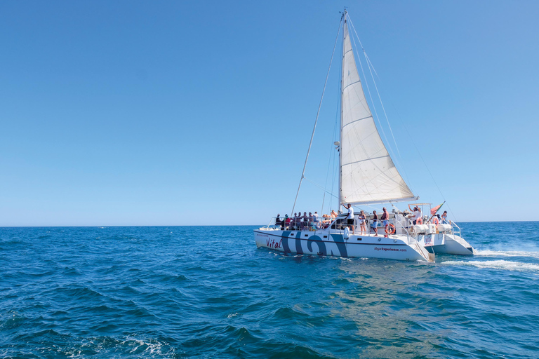 Från Vilamoura: Upplevelse med katamaran vid solnedgången