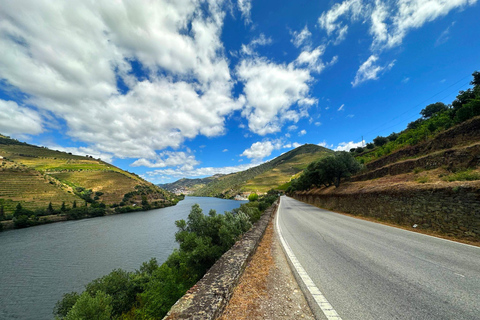 Porto: Experiência autêntica de vinho no Vale do Douro com almoço