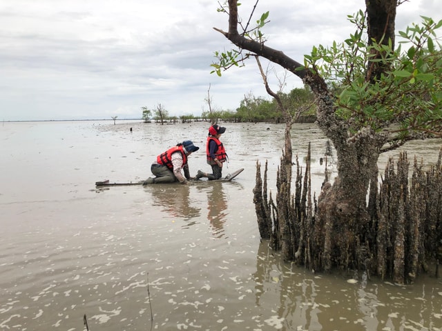 BKK :Meet monkey, mangrove forest, seafood& market -private