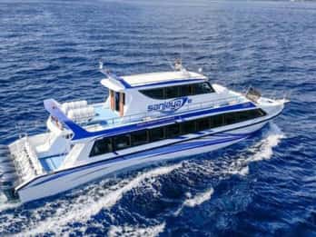 Bali: biglietti economici per il traghetto veloce da/per Sanur Nusa Penida