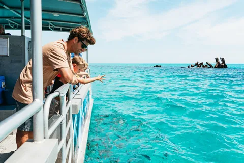 Moreton Island: Marine Discovery Cruise & Dolphin Feeding