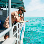 Moreton Island: Marine Discovery Cruise & Dolphin Feeding