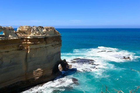 Melbourne: Great Ocean Road Reverse Tour with 12 Apostles Central Melbourne Meeting Point