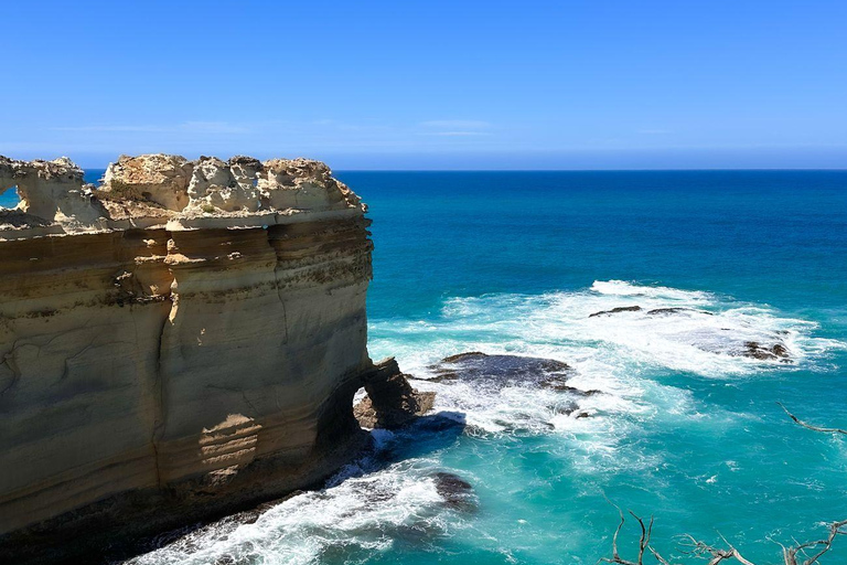 Melbourne: Great Ocean Road Reverse Tour with 12 Apostles Central Melbourne Meeting Point