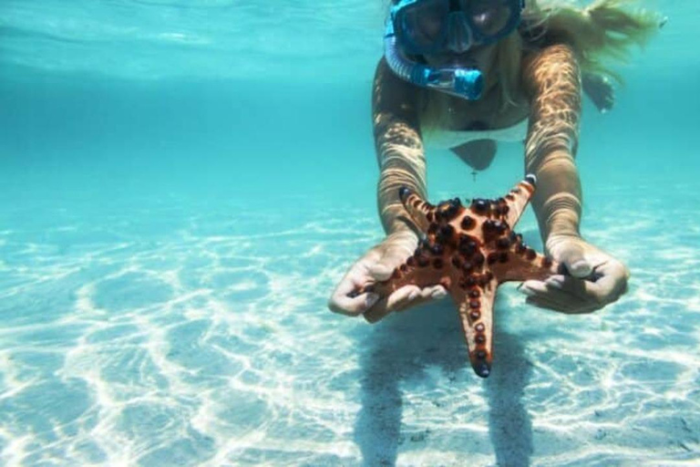 Sansibar: Schnorcheln und Segeln am Kiwengwa-Riff