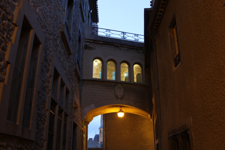 Carcassonne: Stadsverkenning Spel en rondleiding